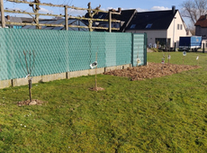 Pluktuin kleine vruchten