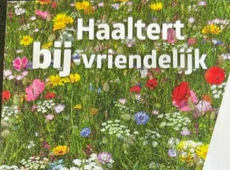 Gratis bloemzaadjes