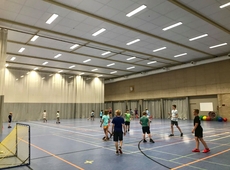 Plafond sporthal Denderhoutem LED