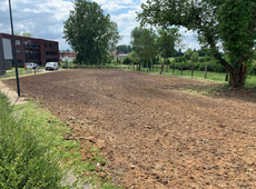Speelweide Denderhoutem