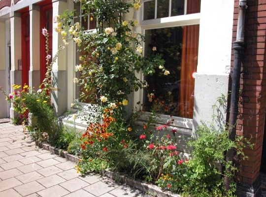 Geveltuin Geveltuin