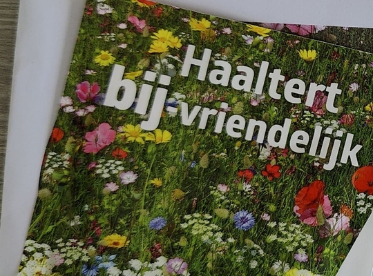 Bloemenzaad