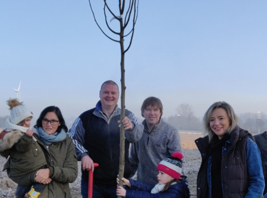 Boomplantactie Denderhoutem