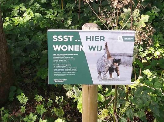 Kattenschuilhokje Kattenschuilhokje