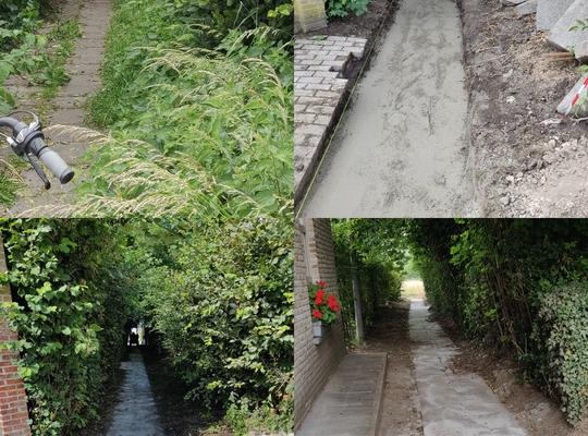 Trage weg